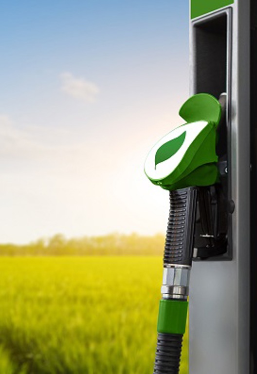 Biokraftstoff-Tankstelle vor dem Hintergrund der grünen Wiese